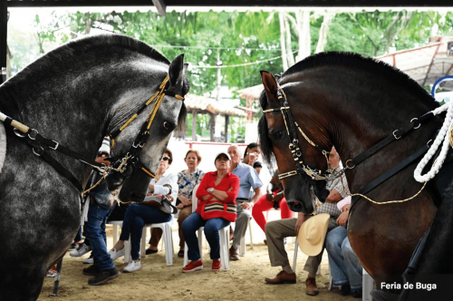 Feria de Buga